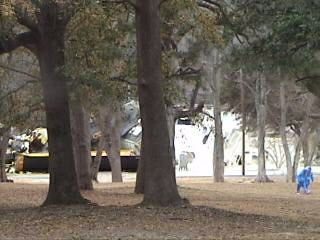 Graniteville Train Wreck 1_6_050038.jpg